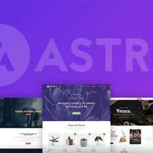 Astra Pro - Extend Astra Theme With Pro Addon